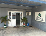 artimis